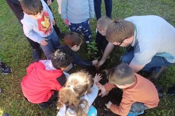 MUDAS DE ÁRVORES SÃO PLANTADAS EM ESCOLAS DO MUNICÍPIO