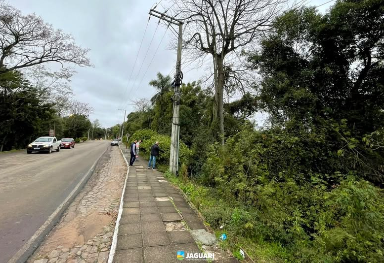ARBORIZAÇÃO + SEGURA | PARCERIA ENTRE A PREFEITURA E A RGE