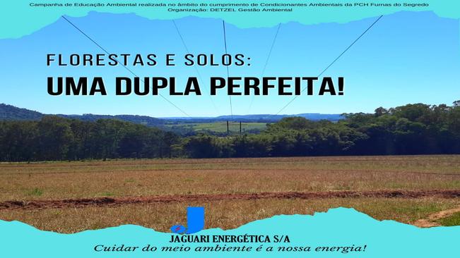 Florestas e solo, Uma dupla perfeita